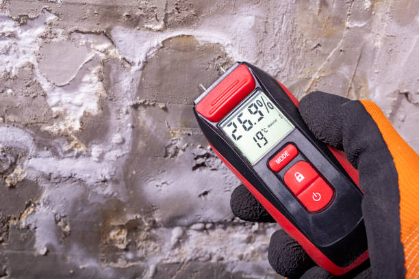 Best Affordable Mold Removal  in St Clair, MI