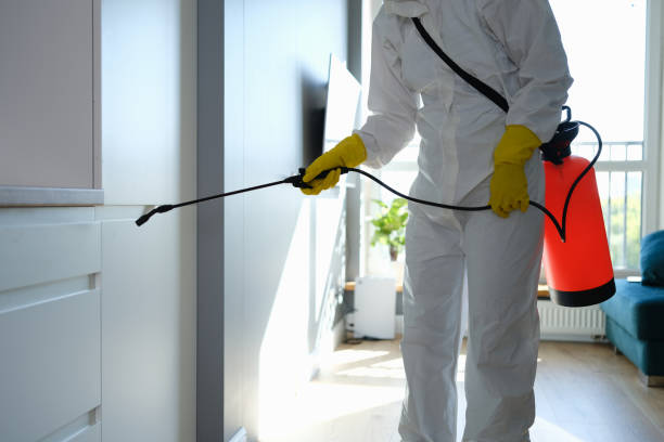 Best Mold Cleaning Services  in St Clair, MI