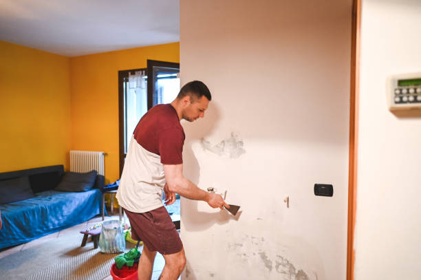 Best Black Mold Removal  in St Clair, MI