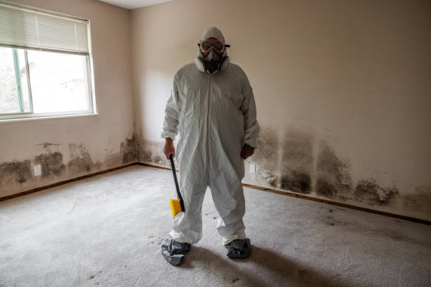 Best Professional Mold Removal  in St Clair, MI